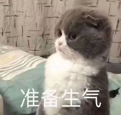 DƬ